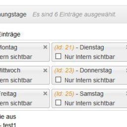 CMS - ET - ERP-Modus